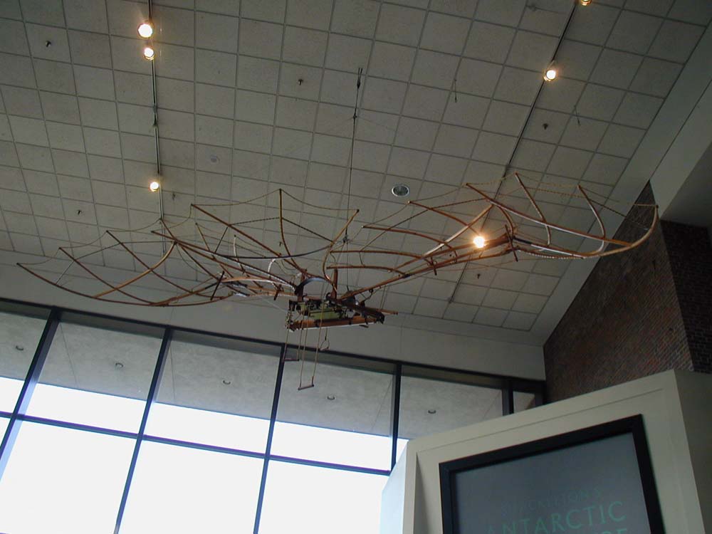 015_davinci_wing
